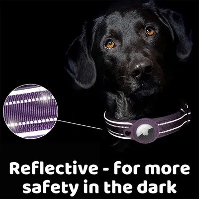 AIRTAG DOG COLLAR