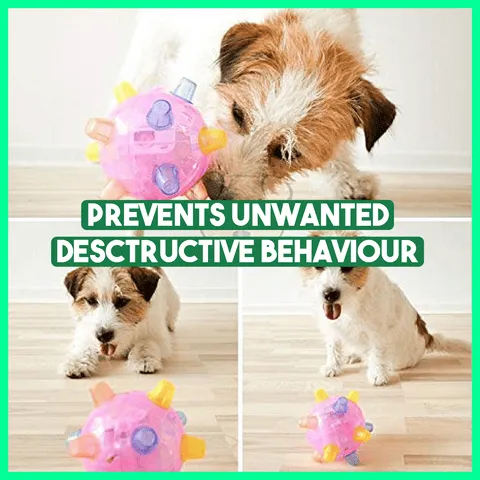 YooJe™ Pet Ball Endless Entertainment For Your Furry Friend!