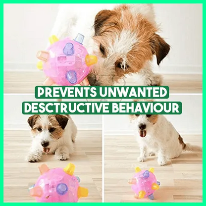 YooJe™ Pet Ball Endless Entertainment For Your Furry Friend!