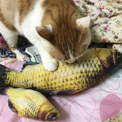 FLOPPY FISH CAT TOY