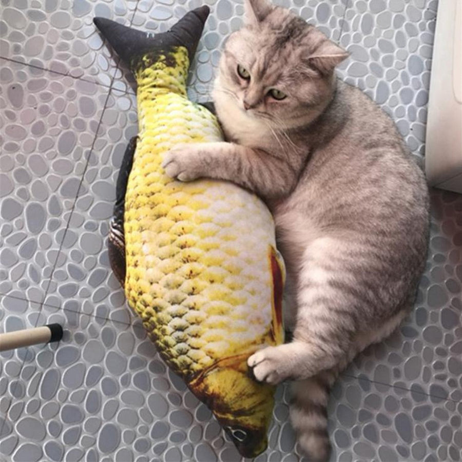 FLOPPY FISH CAT TOY