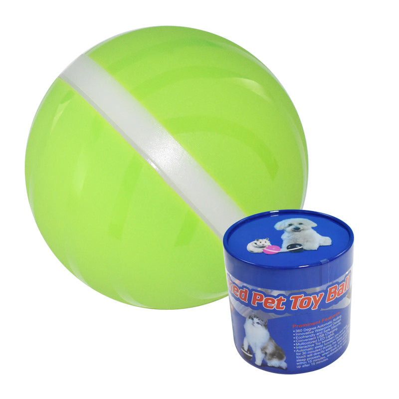 Pet Training Dog/Cat Interactive Toy For Indoor Playing