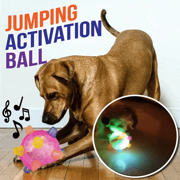 YooJe™ Pet Ball Endless Entertainment For Your Furry Friend!