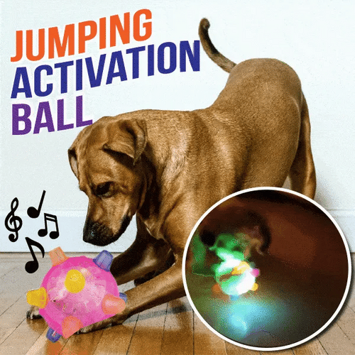 YooJe™ Pet Ball Endless Entertainment For Your Furry Friend!